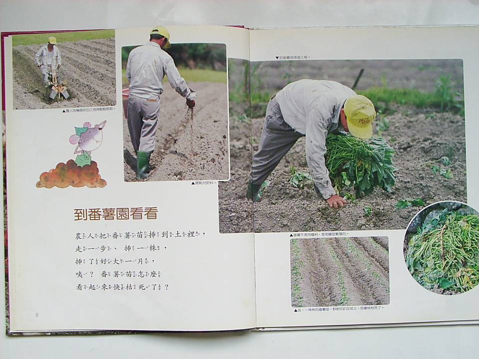 番薯 (04),绘本,绘本故事,绘本阅读,故事书,童书,图画书,课外阅读